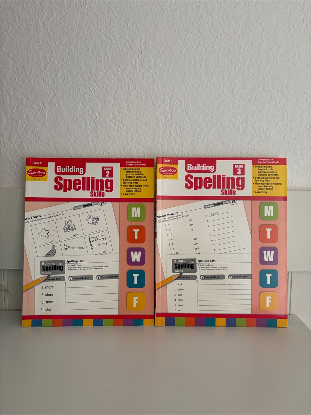 NEW Building Spelling Skills Grade 2 & 3 Workbook homeschool